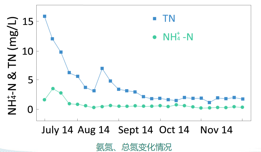 河道氮素去除.PNG